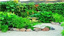 老了，我想和你有个菜园子