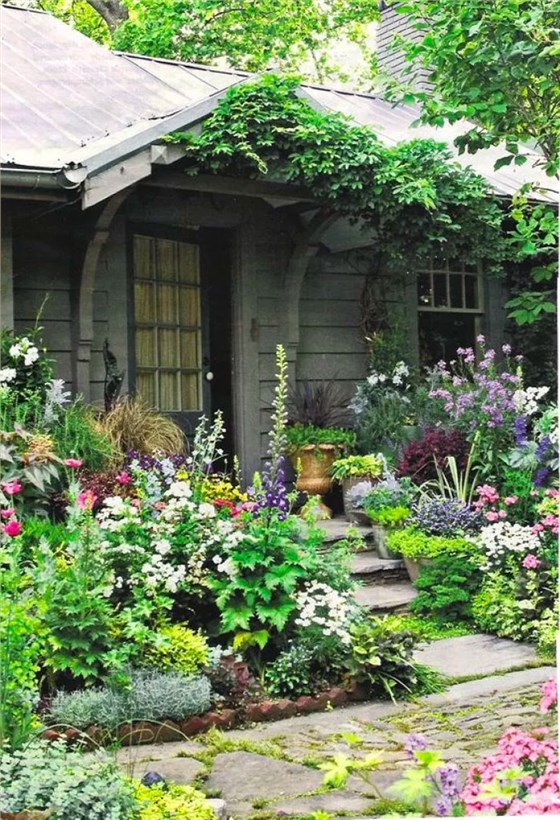 菜园子小屋