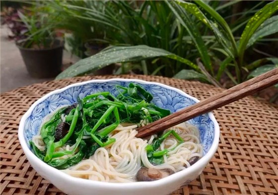 菜园子里的午饭