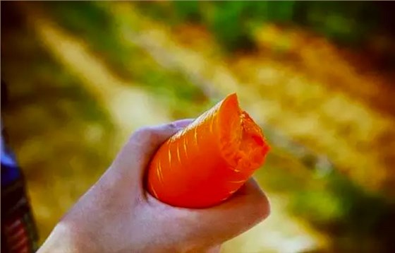 甘甜的胡萝卜