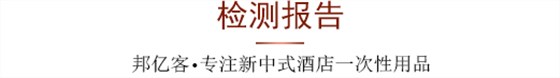 检测报告