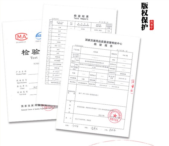 报告