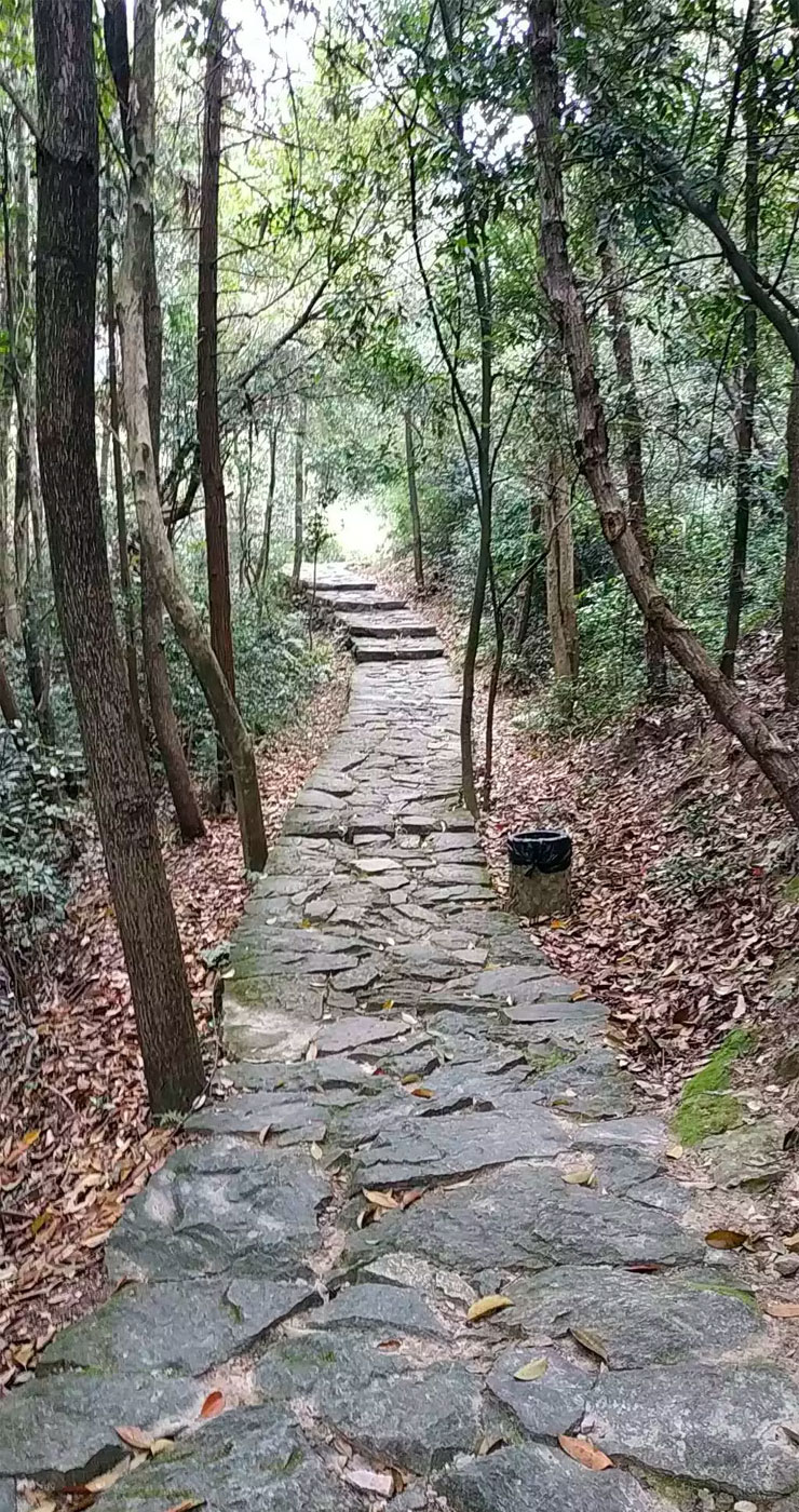 曲径通幽