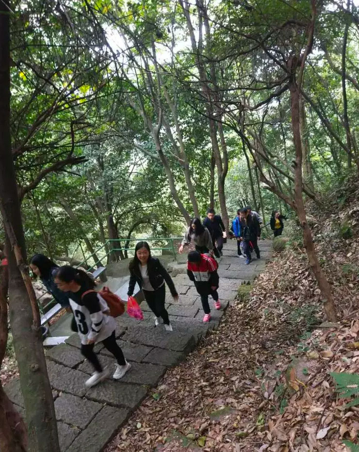 伙伴们拾级而上