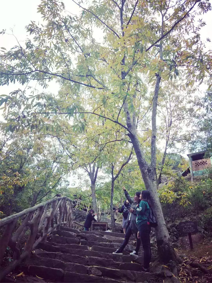 美女与景色相称